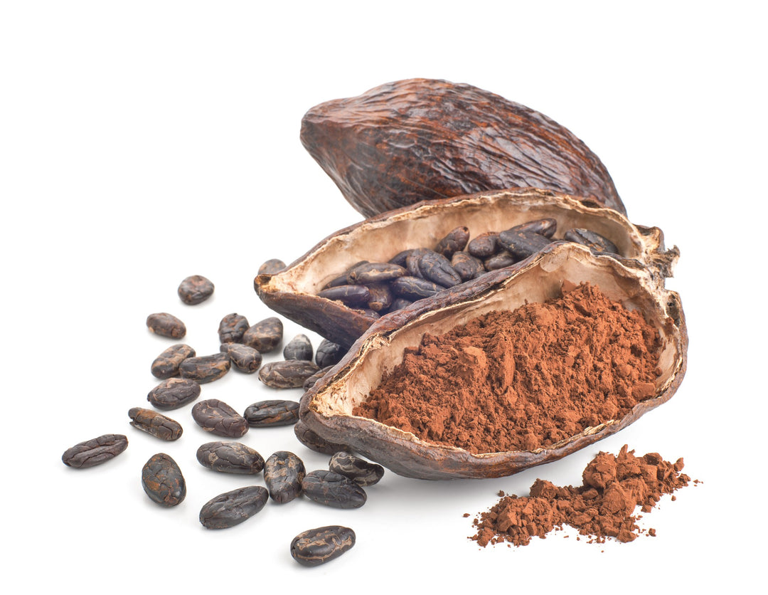 Holy Cocoa! 5 Nutritional Benefits of Cocoa