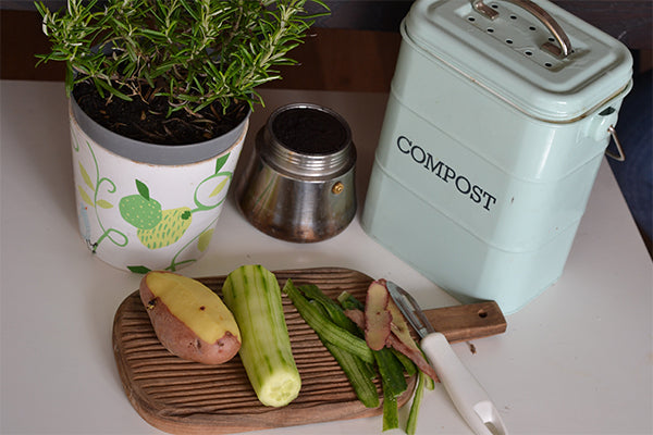 5 Reasons to Compost + Tips for Beginners